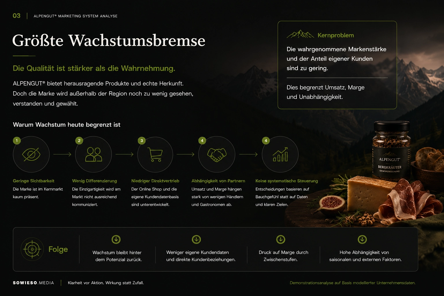 Marketing System Analyse – Lokale Hersteller von Premium-Produkten-003