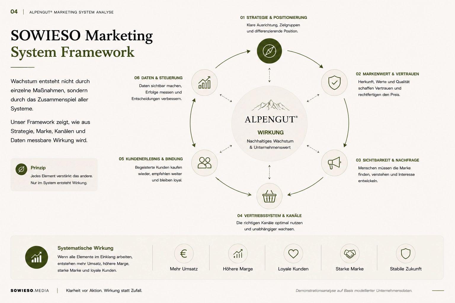 Marketing System Analyse – Lokale Hersteller von Premium-Produkten-004