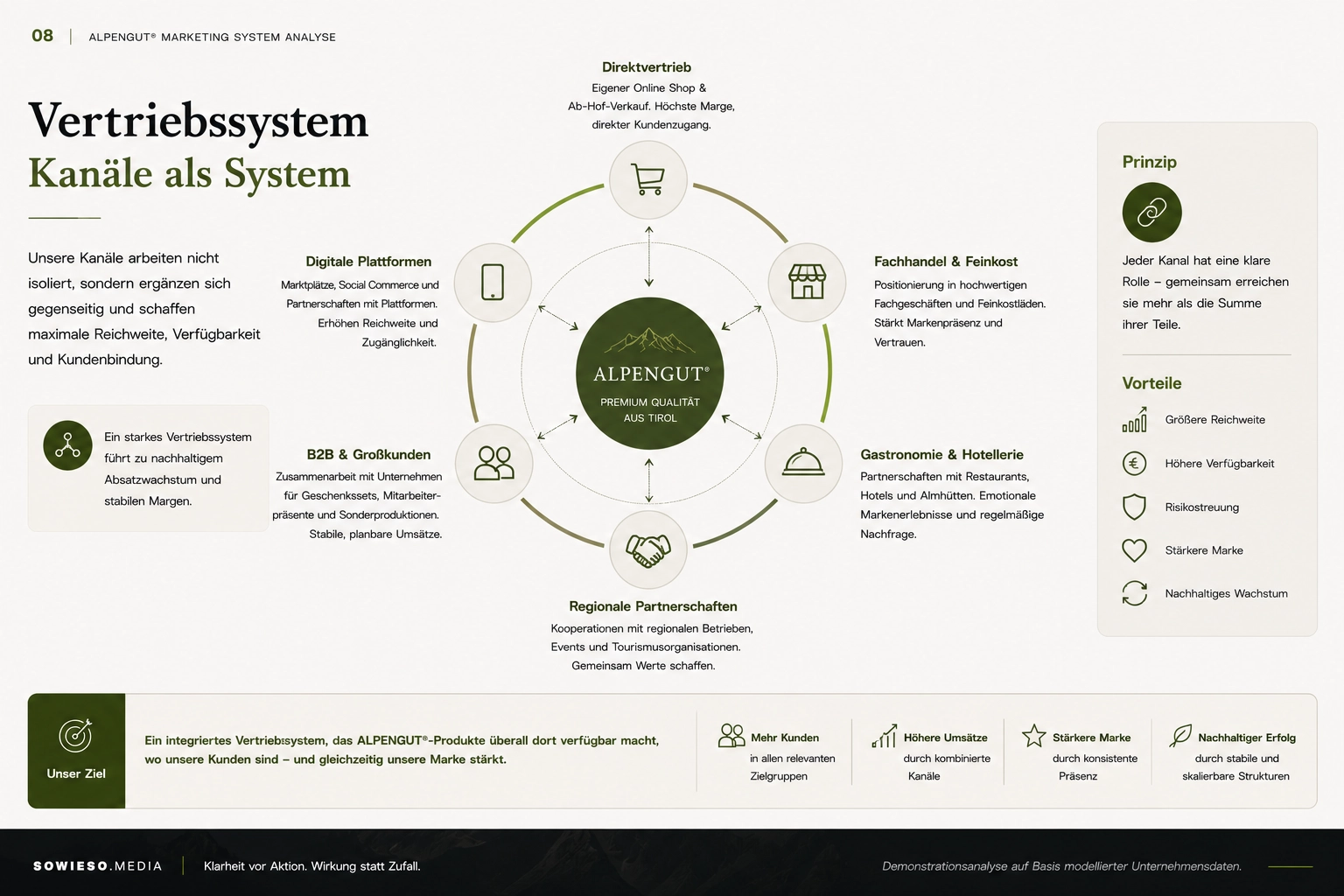 Marketing System Analyse – Lokale Hersteller von Premium-Produkten-008