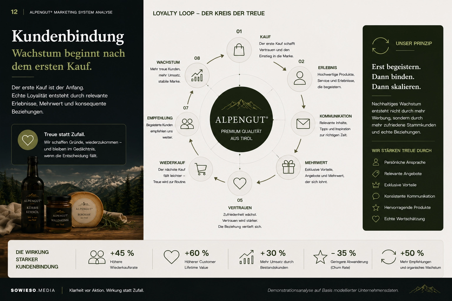Marketing System Analyse – Lokale Hersteller von Premium-Produkten-012