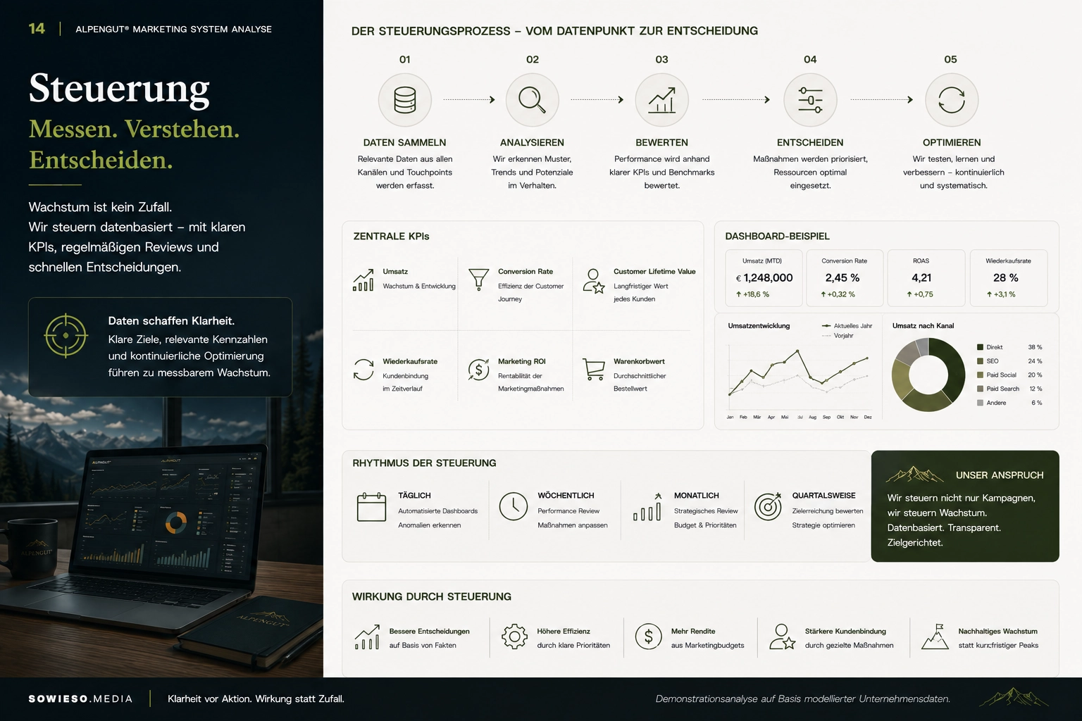 Marketing System Analyse – Lokale Hersteller von Premium-Produkten-014