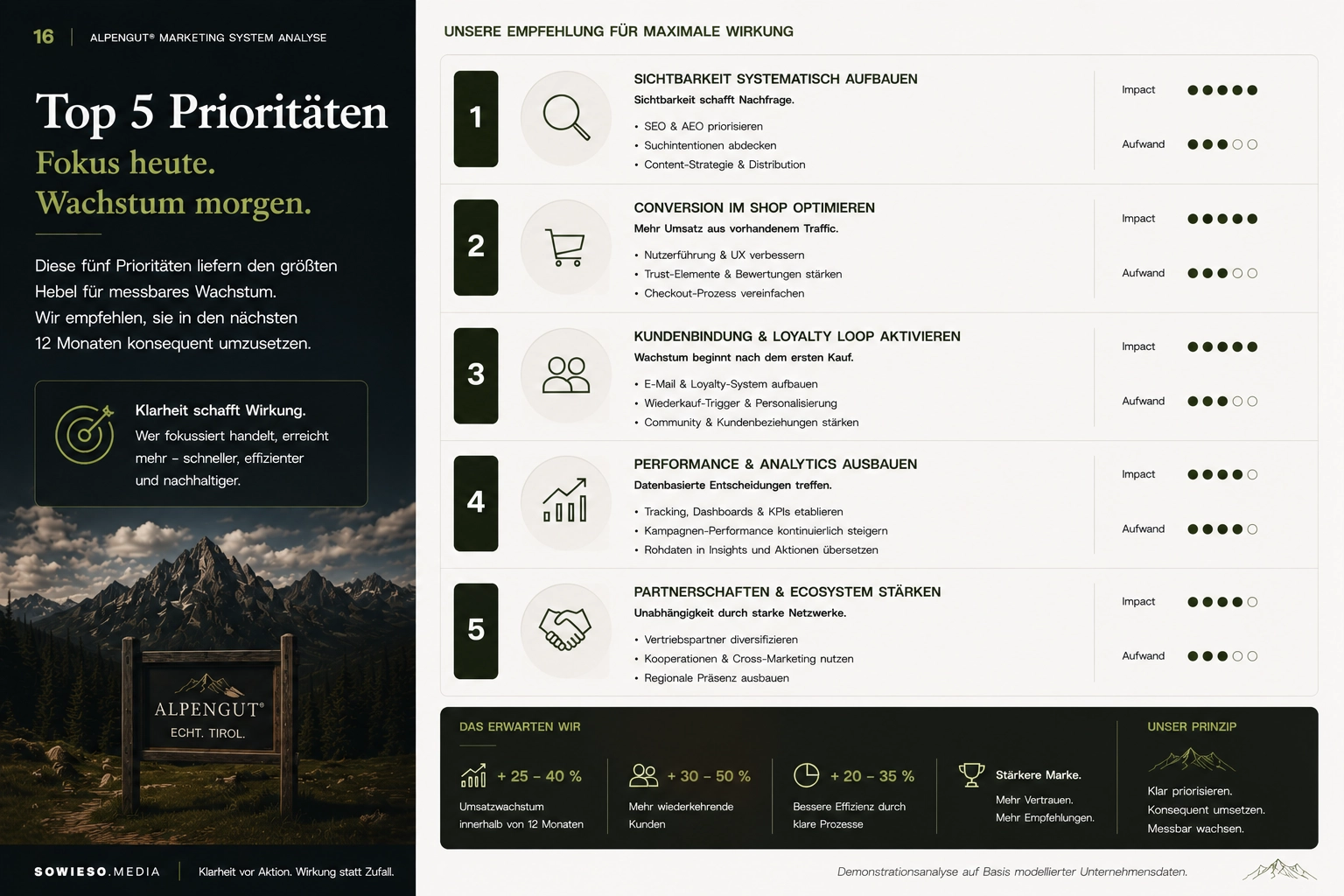 Marketing System Analyse – Lokale Hersteller von Premium-Produkten-016